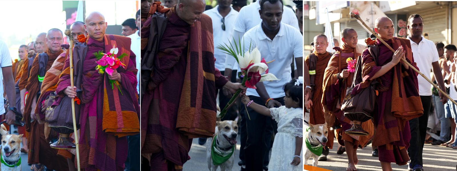 Global Walk for Peace Reaches Day Six